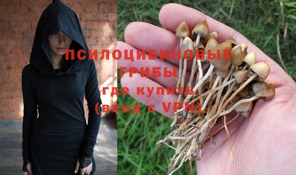 прущие крисы Абаза